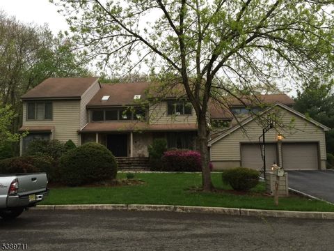 48 Flint Ter Harrington Park Boro NJ 07640
