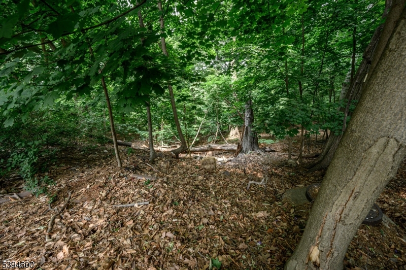 39 Forest Dr