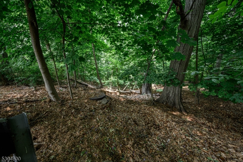 39 Forest Dr