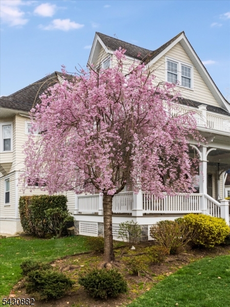 45 Hamilton Rd