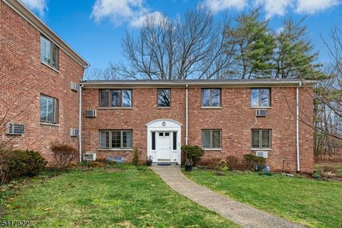 57C Troy Dr Springfield Twp. NJ 07081
