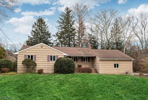 14 Longview Dr Montville Twp. NJ 07082