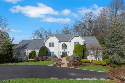 15 Skytop Dr Denville Twp. NJ 07834