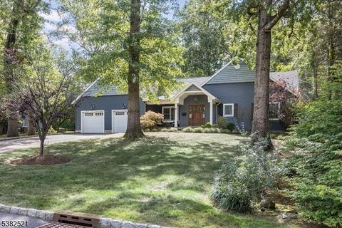 18 East Dr Livingston Twp. NJ 07039