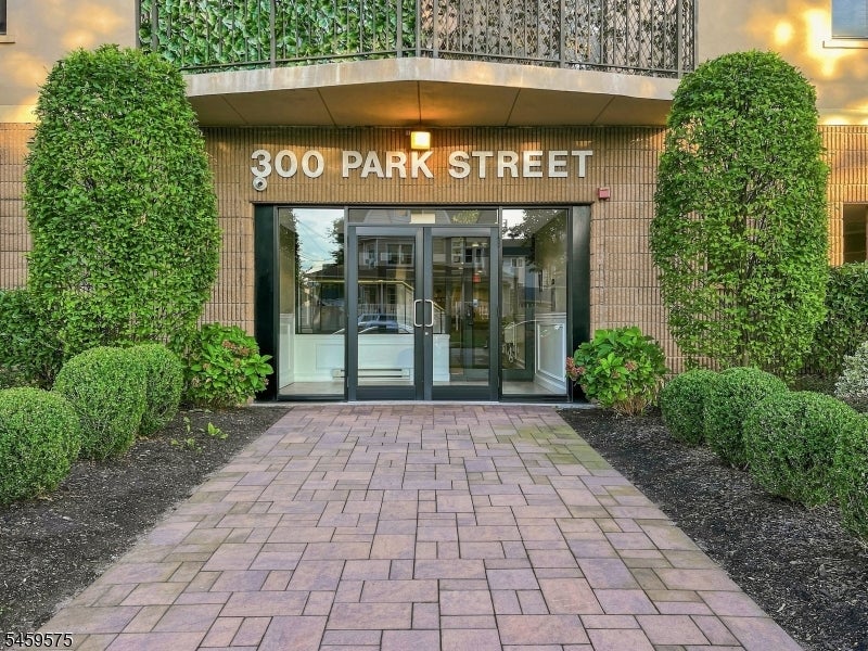 300 Park St 1F