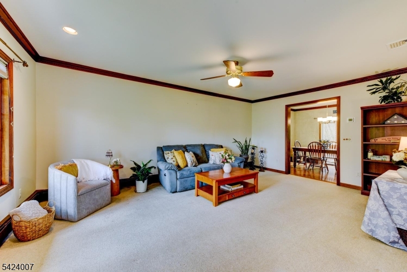 15 Shaffer St
