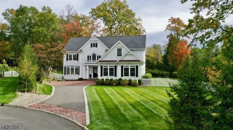 5 Meadow Ct Madison Boro NJ 07940