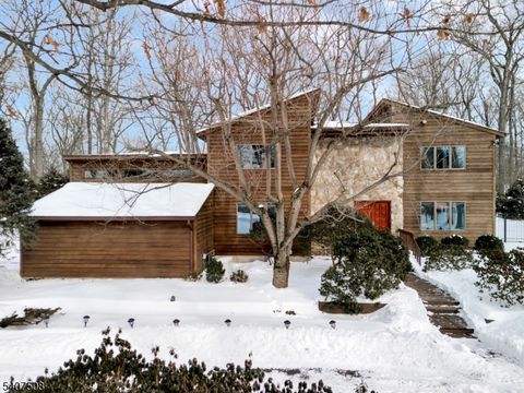 855 Sunset Rdg Bridgewater Twp. NJ 08807