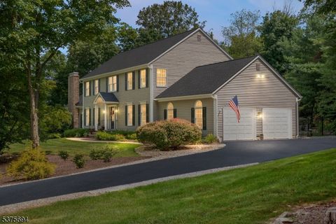 59 Hidden Glen Dr Sparta Twp. NJ 07871