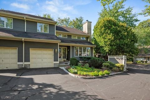 45 Inverrary Pl Clinton Twp. NJ 08801