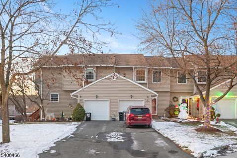 32 Rhea Run Hampton Twp. NJ 07860