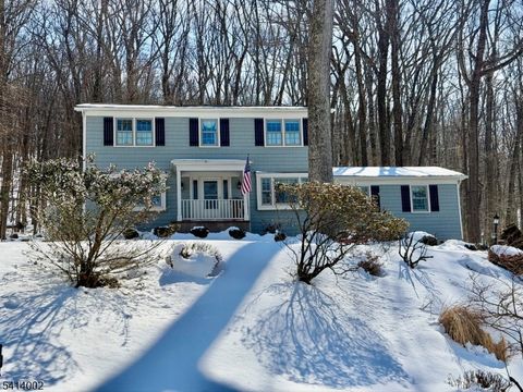 14 Fieldstone Ct Randolph Twp. NJ 07869