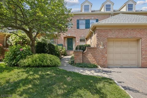 3 Chadwell Pl Morris Twp. NJ 07960