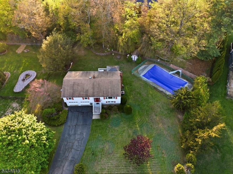 29 Albertine Pl