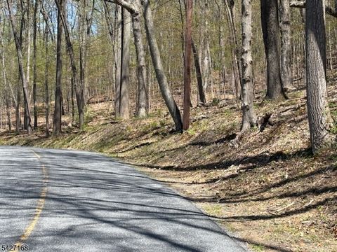 328 Hackett Rd Bethlehem Twp. NJ 08827