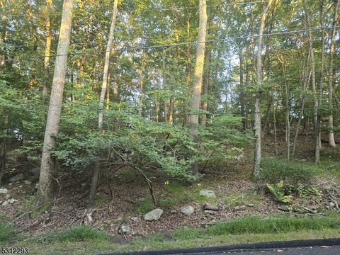 35 Mountain Trl Hopatcong Boro NJ 07843