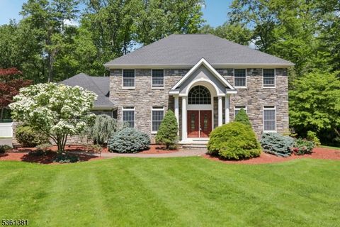 25 Castle Ct Randolph Twp. NJ 07869