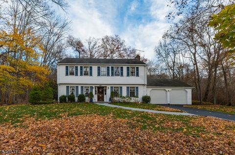 280 River Dr River Vale Twp. NJ 07675