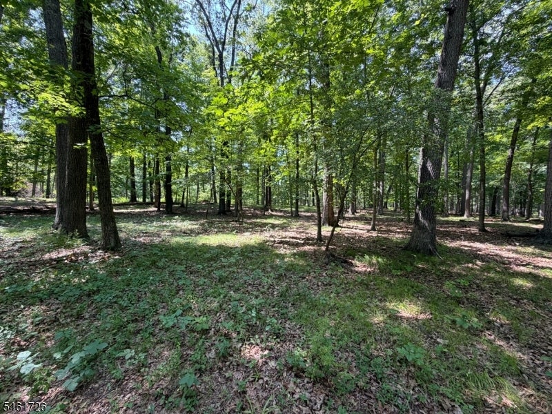 24 Shagbark Ln