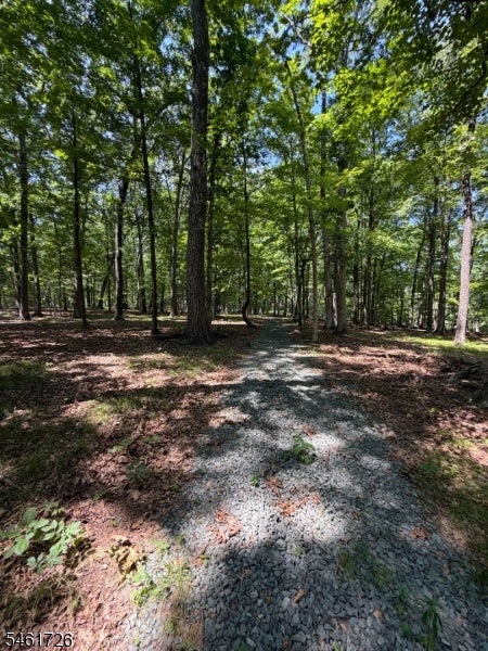 Photo for 24 Shagbark Ln