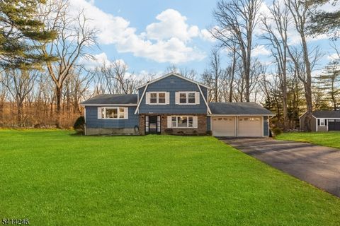 11 Grover St Roxbury Twp. NJ 07876