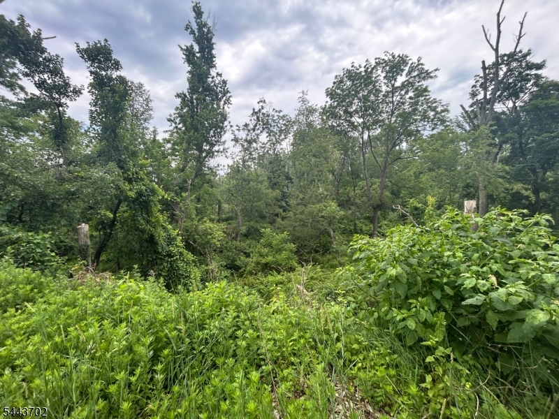 425 Pittstown Rd
