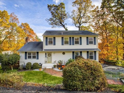 Photo of 657 Reba Rd, Mount Arlington, NJ 07850 (MLS # 3995456)