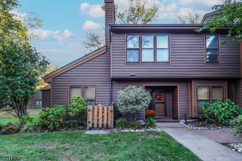 31 Hickory Hollow Ct Edison Twp. NJ 08820