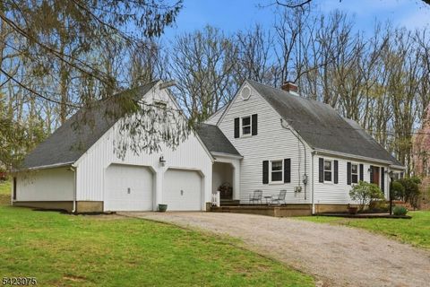 115 Upper Sunset Dr Washington Twp. NJ 07853