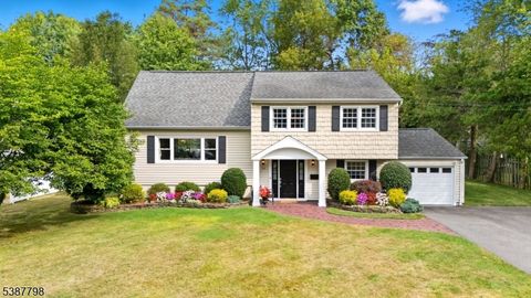 54 Badgley Dr New Providence Boro NJ 07974