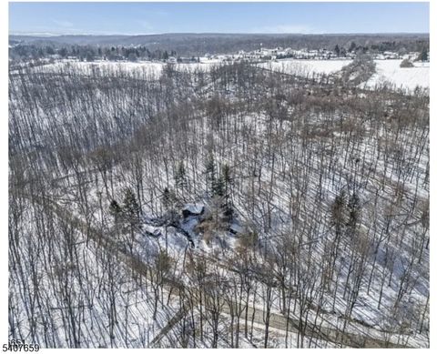 85 Cherryville Hollow Rd Raritan Twp. NJ 08822