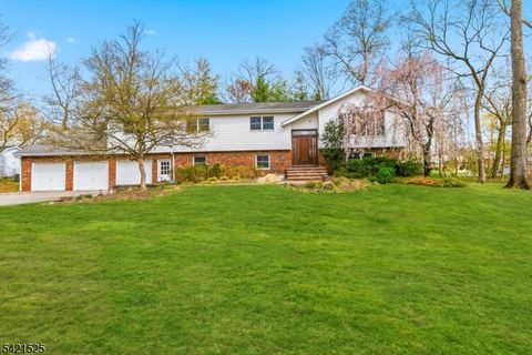 8 Bogert Rd Montville Twp. NJ 07058