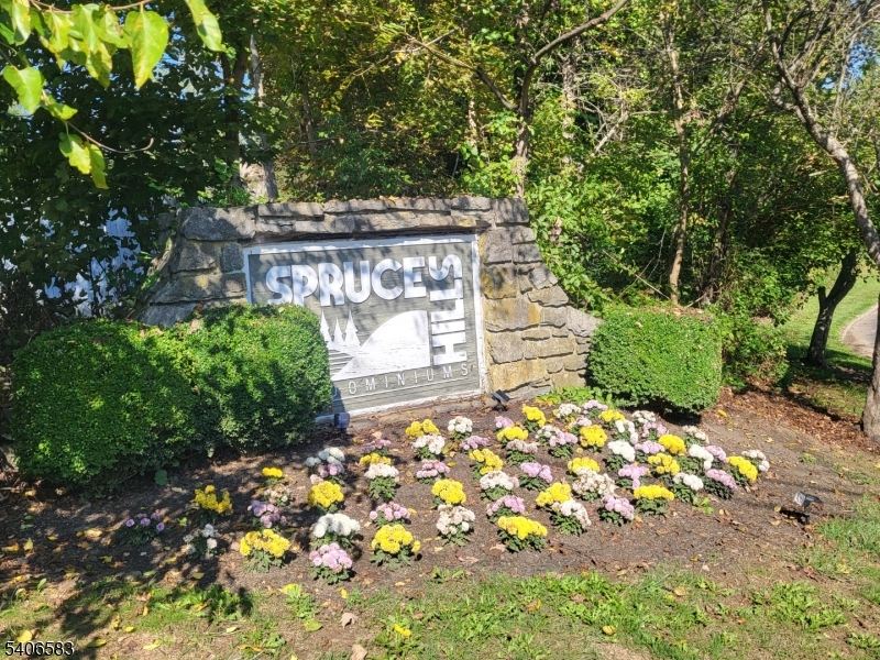 1214 Spruce Hills Dr