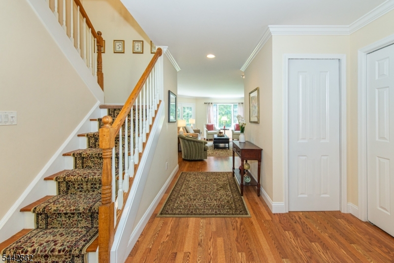 46 Village Dr