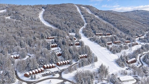 Photo for 4 Davos Dr 11