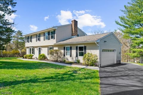 20 Cedar Grove Rd Clinton Twp. NJ 08801