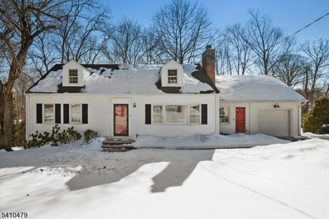 24 Raynor Rd Morris Twp. NJ 07960