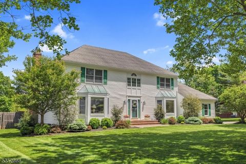 3 Wellington Dr Washington Twp. NJ 07853