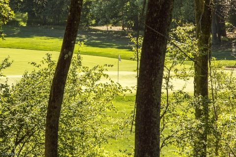 149 Overleigh Rd Bernardsville Boro NJ 07924