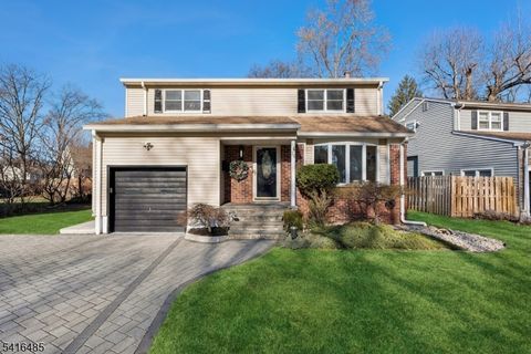 28 Elmwood Rd Springfield Twp. NJ 07081
