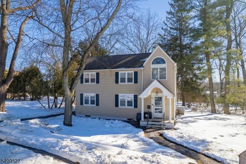 95 Hillside Ave Livingston Twp. NJ 07039