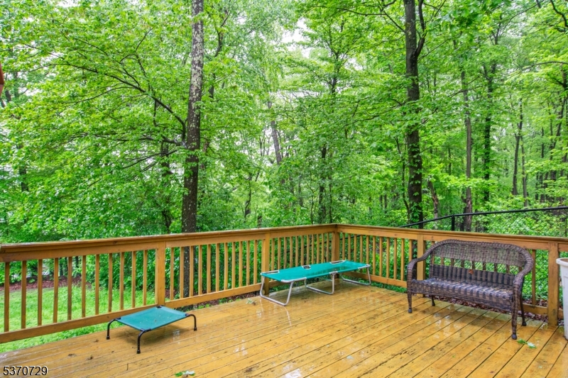 14 Chilhowie Dr