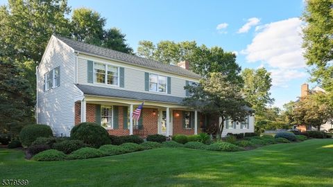 34 Stacy Dr Montgomery Twp. NJ 08502