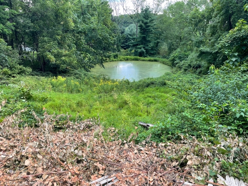 282 Mount Kemble Ave