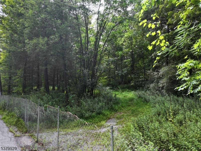 20 Pines Rd