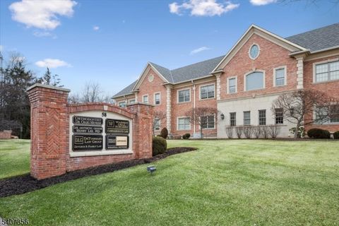 58 Mount Bethel Rd Warren Twp. NJ 07059