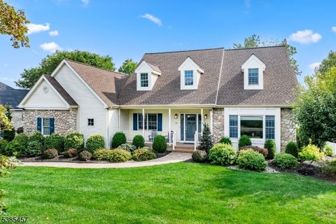 16 Mcmannus Dr Hillsborough Twp. NJ 08844