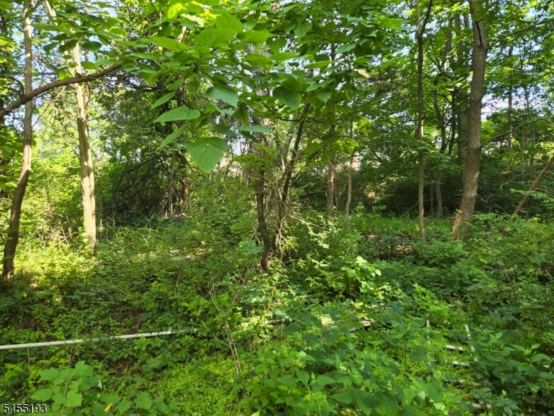 2 Hewlett Rd