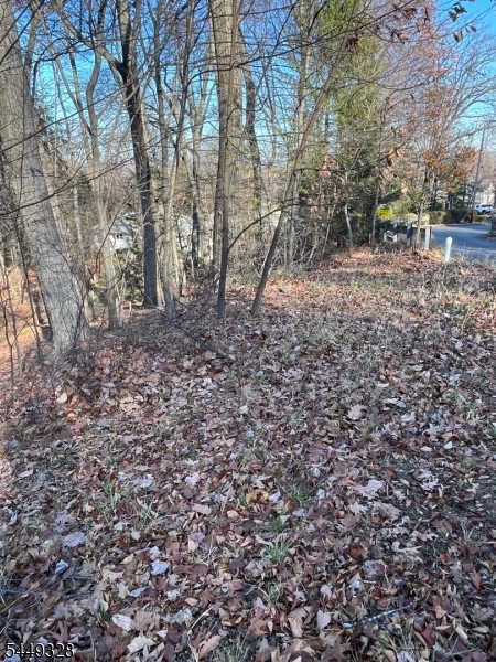 22 Mountain Rd