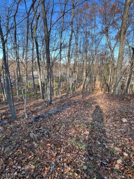 22 Mountain Rd